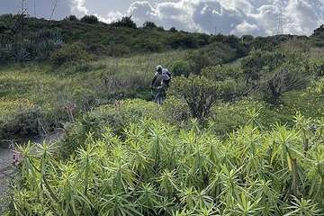 Dominio en Telde de ciclistas suecos en la Fénix Bike/TA.